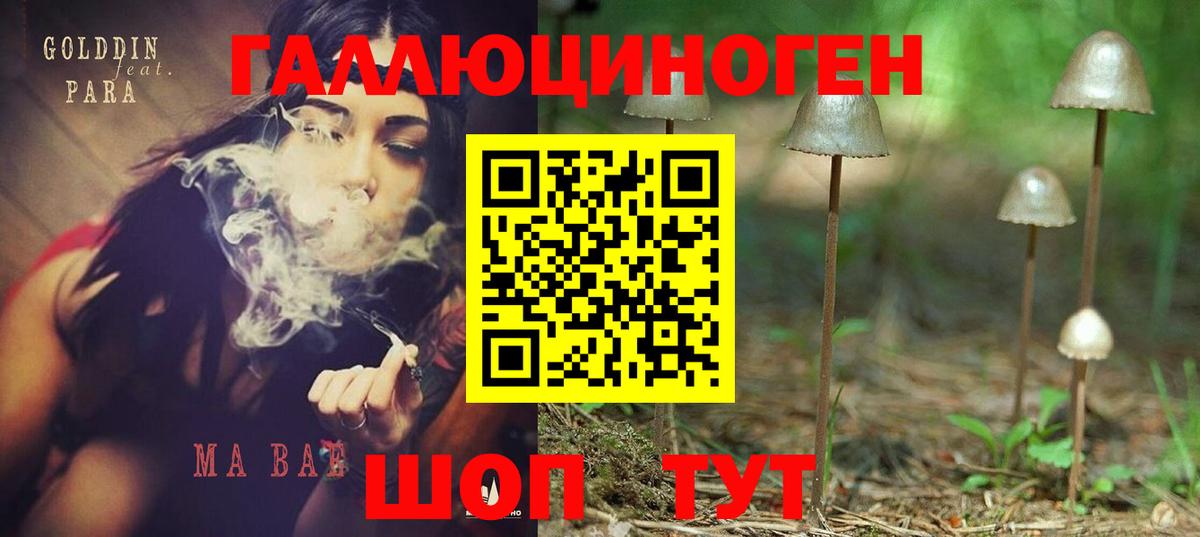 Скопин  Галлюциногенные грибы мухоморы  Галлюциногенные грибы Psilocybine cubensis  Вход с VPN 